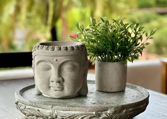 Casa De Encanto Tropical